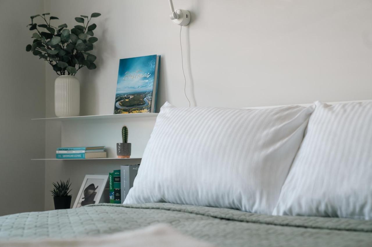 Grey Green Studio Apartment Birstonas Bagian luar foto