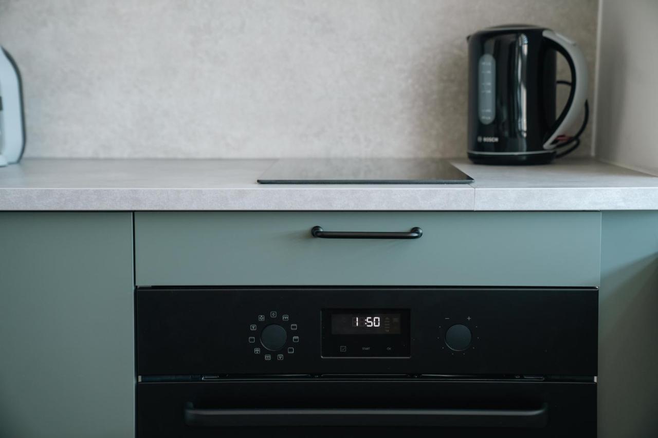 Grey Green Studio Apartment Birstonas Bagian luar foto